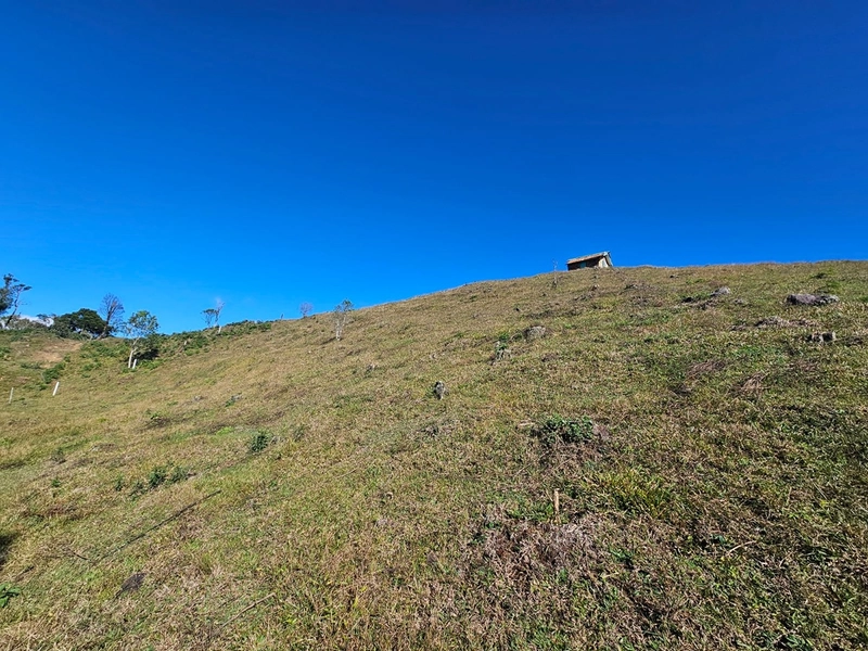 Sítio Localidade Cerro Alto - Palmeira: 11ª foto da galeria de imagens do imóvel