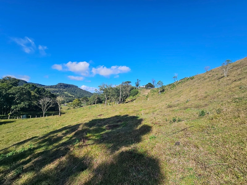 Sítio Localidade Cerro Alto - Palmeira: 9ª foto da galeria de imagens do imóvel