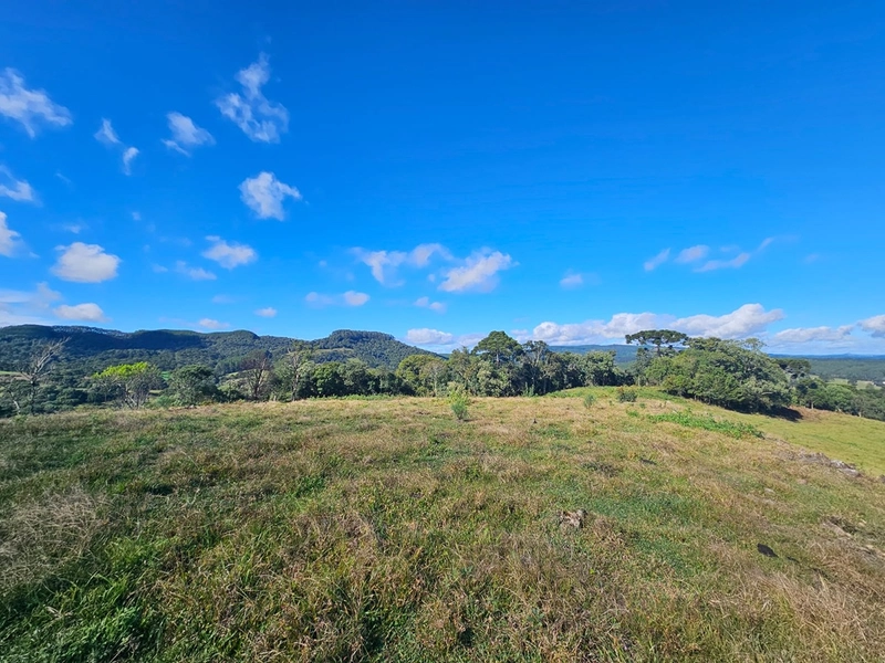 Sítio Localidade Cerro Alto - Palmeira: 5ª foto da galeria de imagens do imóvel
