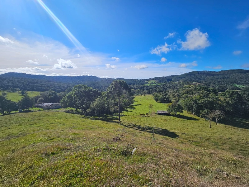 Sítio Localidade Cerro Alto - Palmeira: 7ª foto da galeria de imagens do imóvel