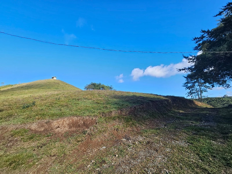 Sítio Localidade Cerro Alto - Palmeira: 16ª foto da galeria de imagens do imóvel
