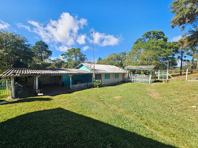 Sítio Localidade Cerro Alto - Palmeira: 20ª foto da galeria de imagens do imóvel