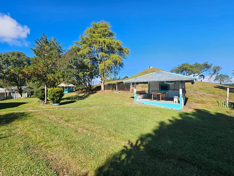 Sítio Localidade Cerro Alto - Palmeira: 19ª foto da galeria de imagens do imóvel