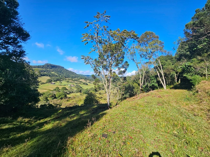 Sítio Localidade Cerro Alto - Palmeira: 10ª foto da galeria de imagens do imóvel
