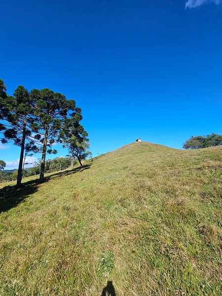 Sítio Localidade Cerro Alto - Palmeira: 2ª foto da galeria de imagens do imóvel