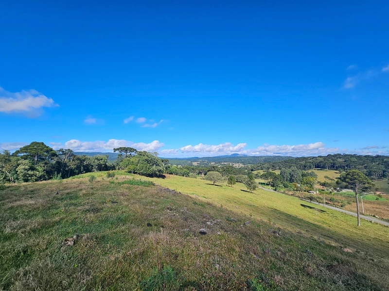 Sítio Localidade Cerro Alto - Palmeira: 4ª foto da galeria de imagens do imóvel