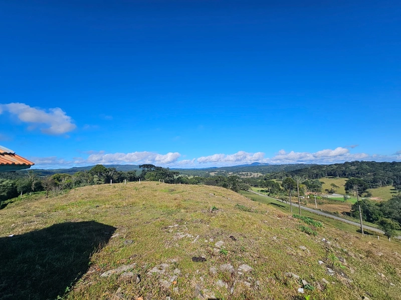 Sítio Localidade Cerro Alto - Palmeira: 8ª foto da galeria de imagens do imóvel