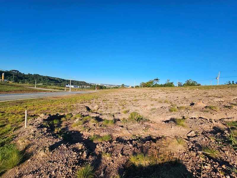 Terreno Loteamento Vivenda Lages : 8ª foto da galeria de imagens do imóvel