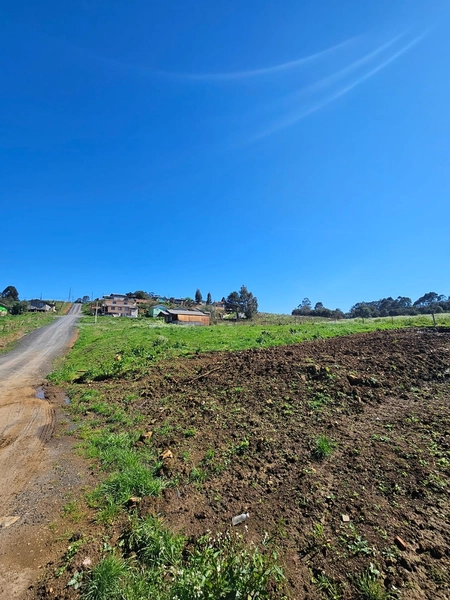 Terreno Bairro Caroba - Área Industrial : 7ª foto da galeria de imagens do imóvel