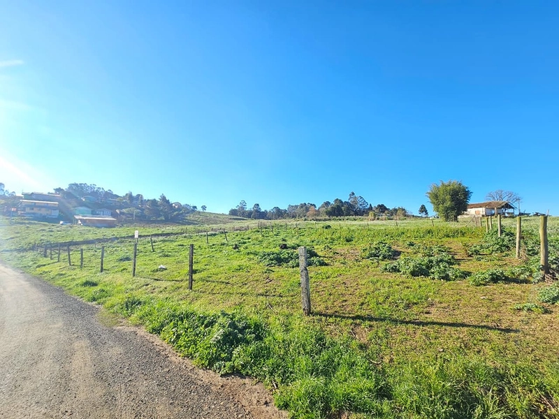 Terreno Bairro Caroba - Área Industrial : 8ª foto da galeria de imagens do imóvel