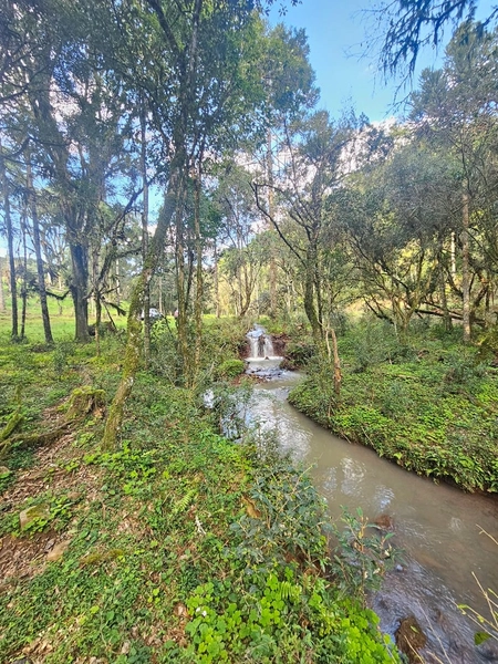Chácara na Localidade Boa Parada em São José do Cerrito: 2ª foto da galeria de imagens do imóvel