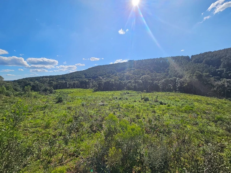 Chácara na Localidade Boa Parada em São José do Cerrito: 3ª foto da galeria de imagens do imóvel