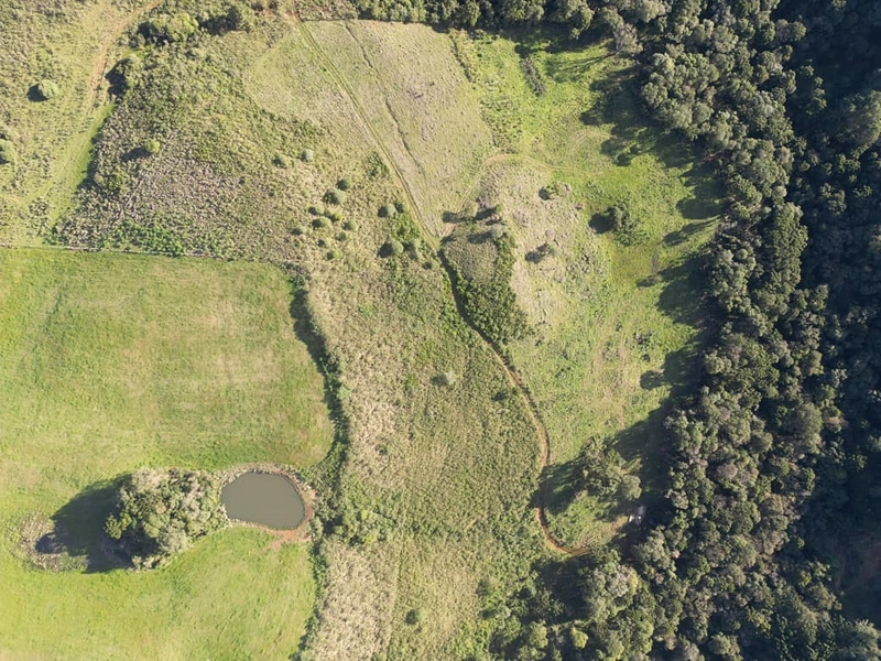 Chácara na Localidade Boa Parada em São José do Cerrito: 9ª foto da galeria de imagens do imóvel