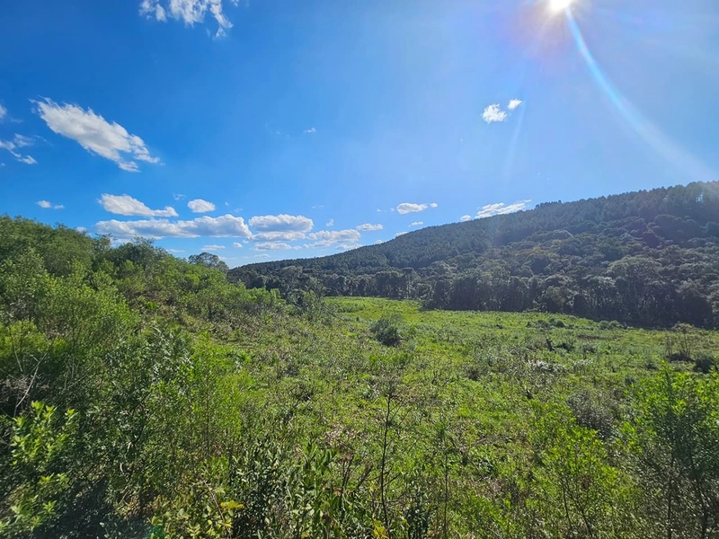 Chácara na Localidade Boa Parada em São José do Cerrito: 8ª foto da galeria de imagens do imóvel