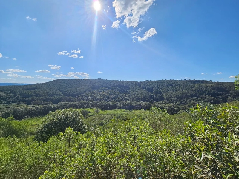 Chácara na Localidade Boa Parada em São José do Cerrito: 4ª foto da galeria de imagens do imóvel