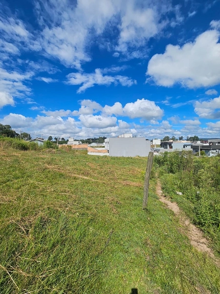 Terreno no Loteamento Verdes Campos : 5ª foto da galeria de imagens do imóvel