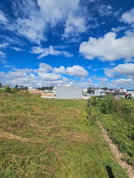 Terreno no Loteamento Verdes Campos : 7ª foto da galeria de imagens do imóvel