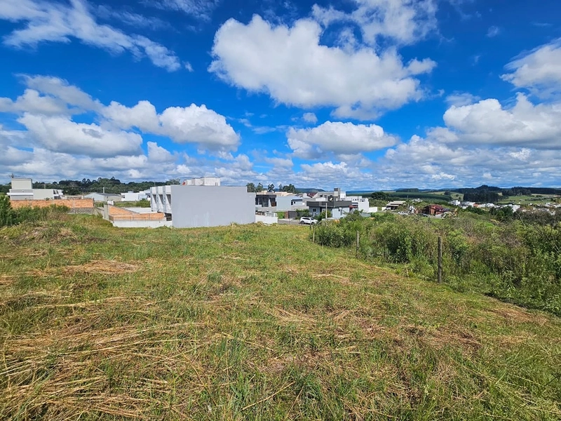 Terreno no Loteamento Verdes Campos : 10ª foto da galeria de imagens do imóvel
