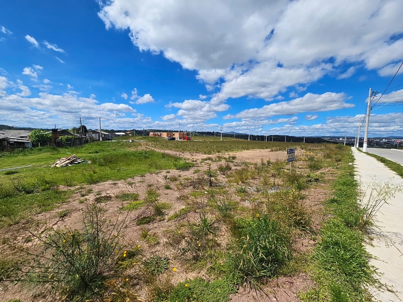 Terreno Loteamento Vivenda Lages: 4ª foto da galeria de imagens do imóvel