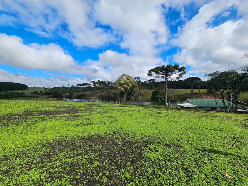 Sítio SC-114 Otacílio Costa : 31ª foto da galeria de imagens do imóvel