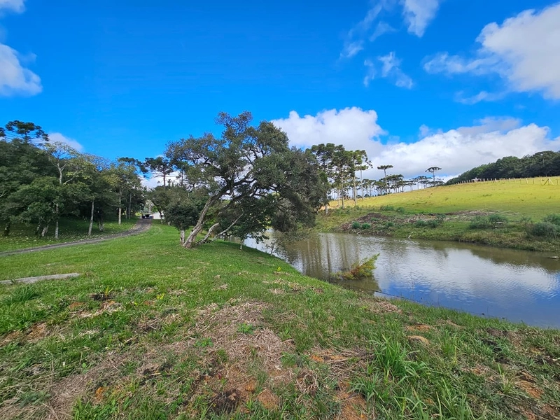 Sítio SC-114 Otacílio Costa : 27ª foto da galeria de imagens do imóvel