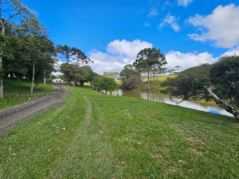 Sítio SC-114 Otacílio Costa : 26ª foto da galeria de imagens do imóvel