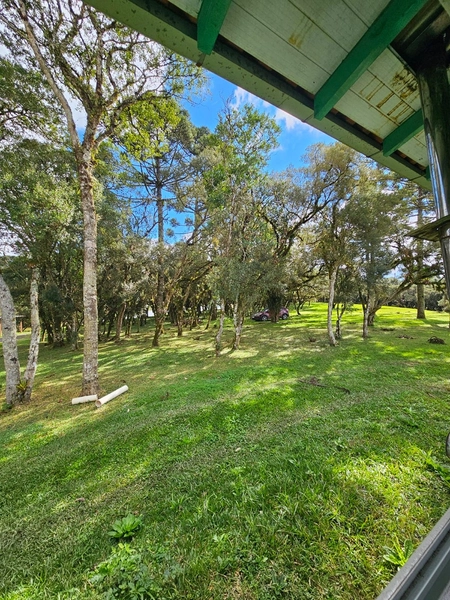 Sítio SC-114 Otacílio Costa : 32ª foto da galeria de imagens do imóvel