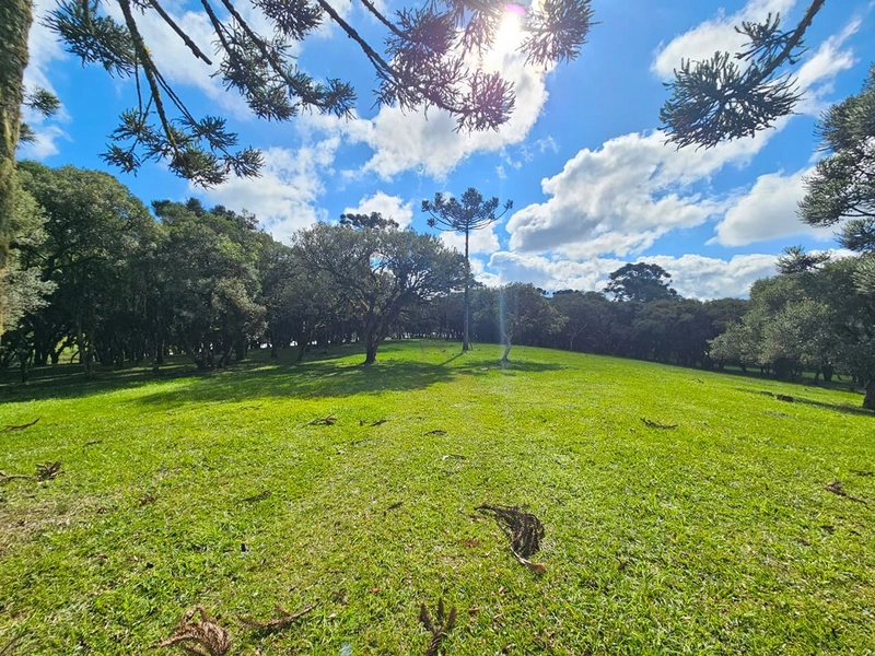 Sítio SC-114 Otacílio Costa : 28ª foto da galeria de imagens do imóvel