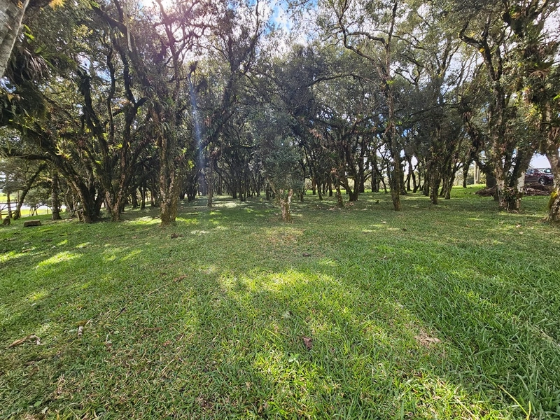 Sítio SC-114 Otacílio Costa : 29ª foto da galeria de imagens do imóvel