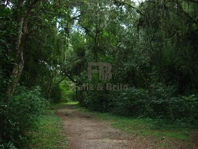 13ª foto do condomínio