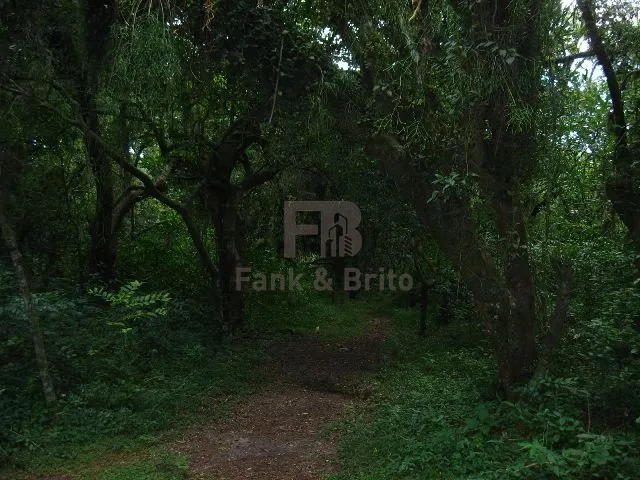 14ª foto do condomínio