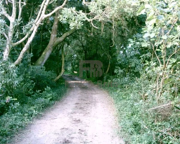 61ª foto do condomínio