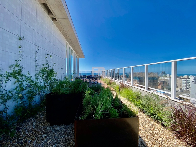 Milano Rooftop Club.: 6ª foto da galeria de imagens do imóvel