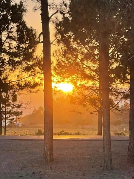 TERRENO A VENDA EM CONDOMINIO FECHADO: 11ª foto da galeria de imagens do imóvel