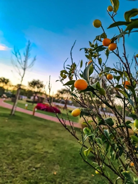 TERRENO A VENDA EM CONDOMINIO FECHADO: 24ª foto da galeria de imagens do imóvel