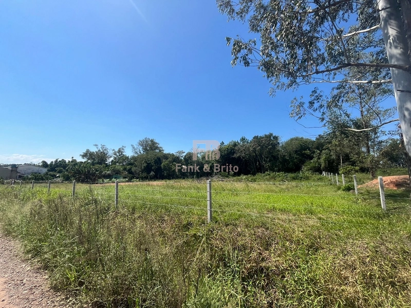 TERRENO A VENDA EM SÃO SEBASTIÃO DO CAI: 3ª foto da galeria de imagens do imóvel