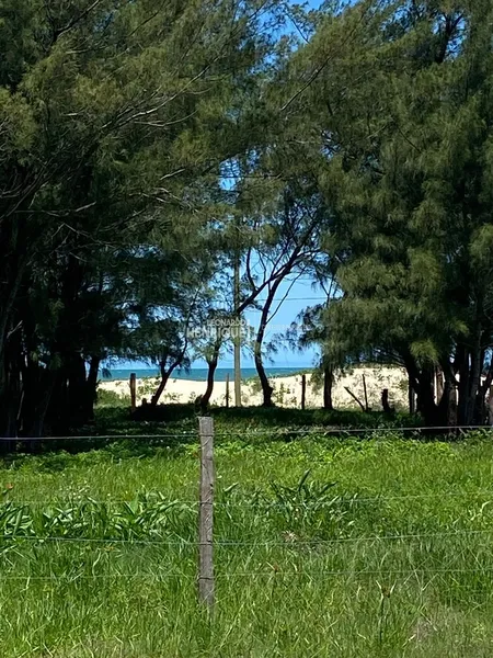 CASA EM CAPÃO NA ZONA NORTE: 5ª foto da galeria de imagens do imóvel