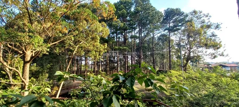 Condomínio Carmel - Xangri-lá: 5ª foto da galeria de imagens do imóvel