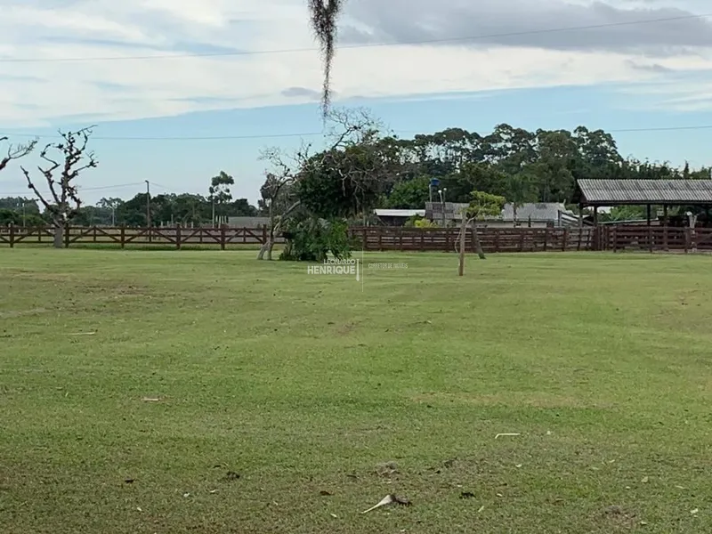 MAGNIFICA FAZENDA EM CAPÃO DA CANOA: 35ª foto da galeria de imagens do imóvel
