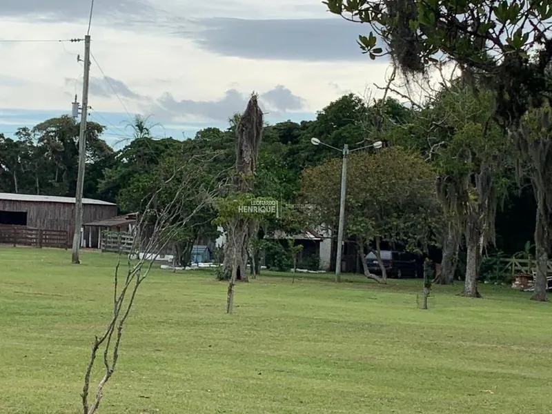MAGNIFICA FAZENDA EM CAPÃO DA CANOA: 31ª foto da galeria de imagens do imóvel