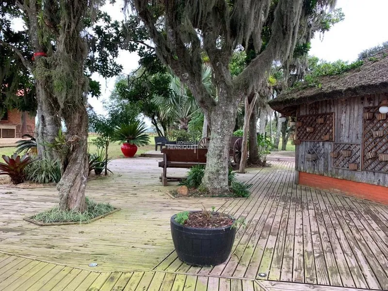MAGNIFICA FAZENDA EM CAPÃO DA CANOA: 12ª foto da galeria de imagens do imóvel