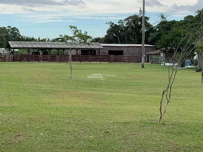 MAGNIFICA FAZENDA EM CAPÃO DA CANOA: 34ª foto da galeria de imagens do imóvel