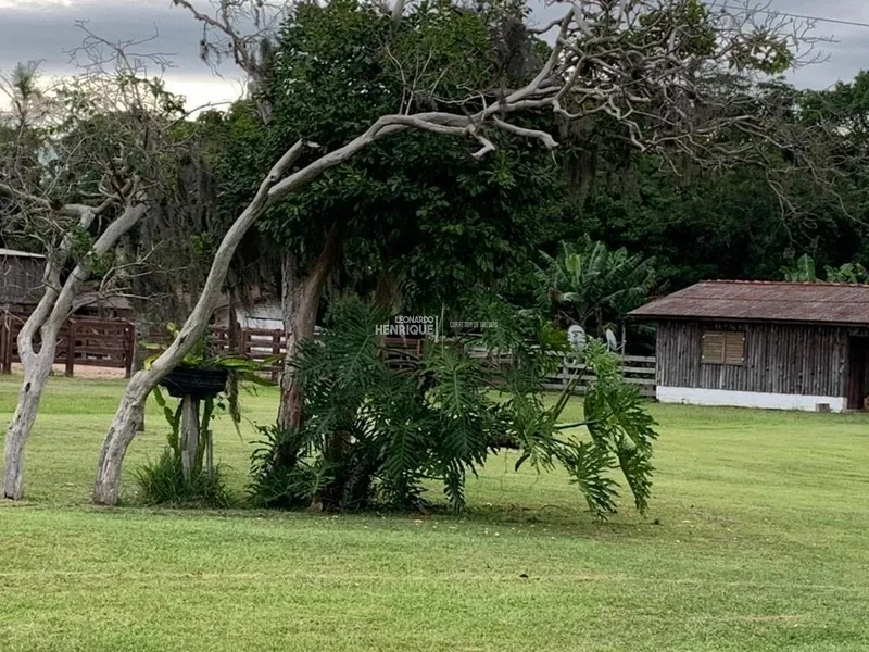 MAGNIFICA FAZENDA EM CAPÃO DA CANOA: 30ª foto da galeria de imagens do imóvel