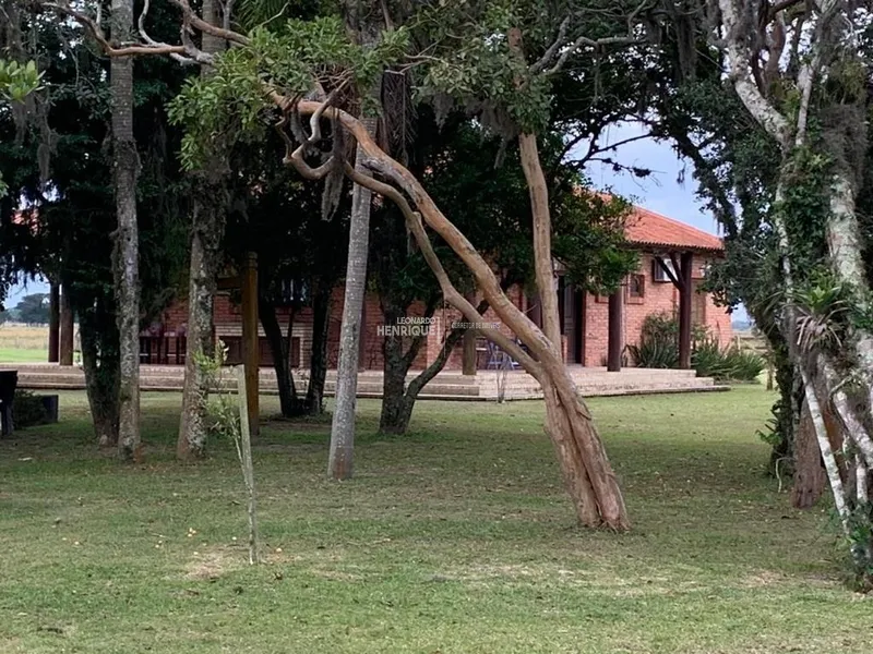 MAGNIFICA FAZENDA EM CAPÃO DA CANOA: 29ª foto da galeria de imagens do imóvel