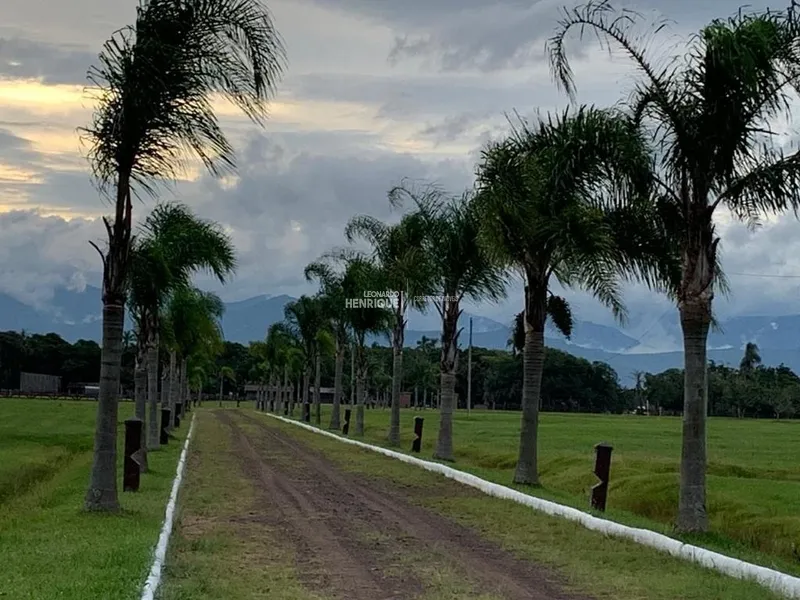 MAGNIFICA FAZENDA EM CAPÃO DA CANOA: 39ª foto da galeria de imagens do imóvel