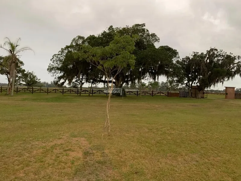 MAGNIFICA FAZENDA EM CAPÃO DA CANOA: 21ª foto da galeria de imagens do imóvel