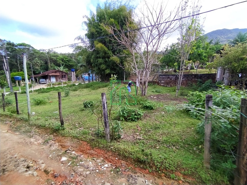 Terreno area Rural Camboriú: 6ª foto da galeria de imagens do imóvel