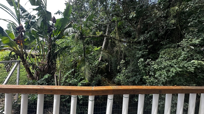 Sitio a venda no rio do meio em Camboriú: 41ª foto da galeria de imagens do imóvel