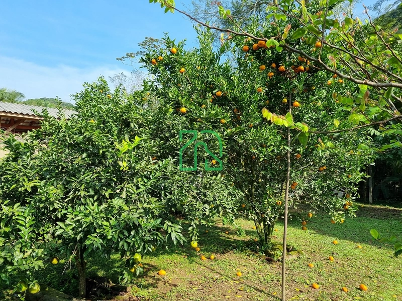 null: 31ª foto da galeria de imagens do imóvel