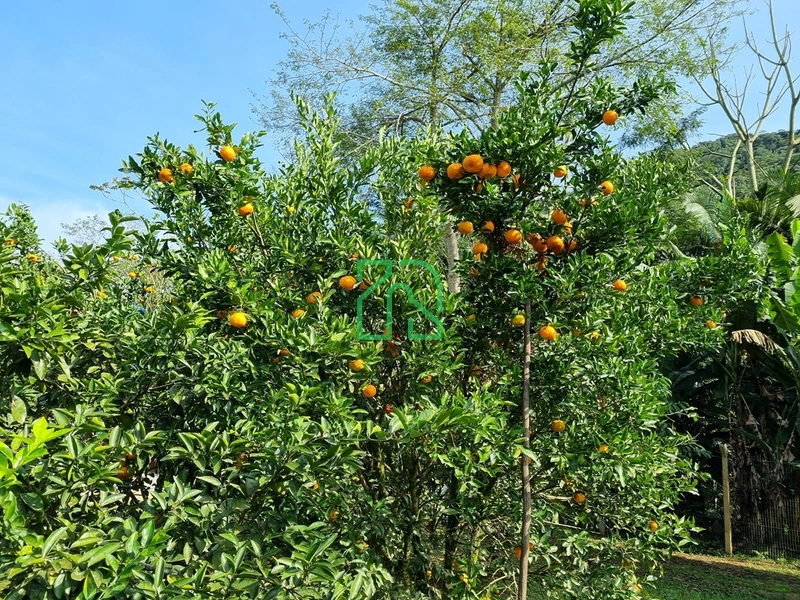 null: 29ª foto da galeria de imagens do imóvel